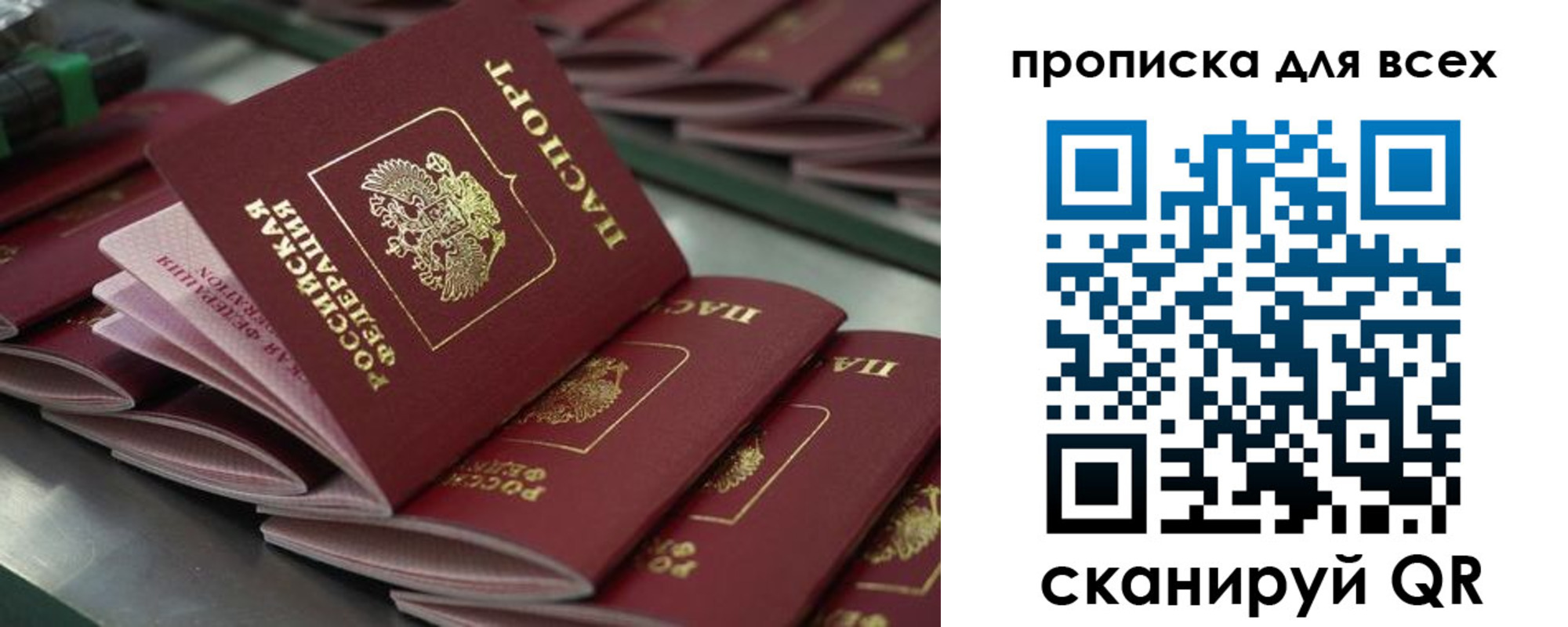 найти адрес прописки в Мурино